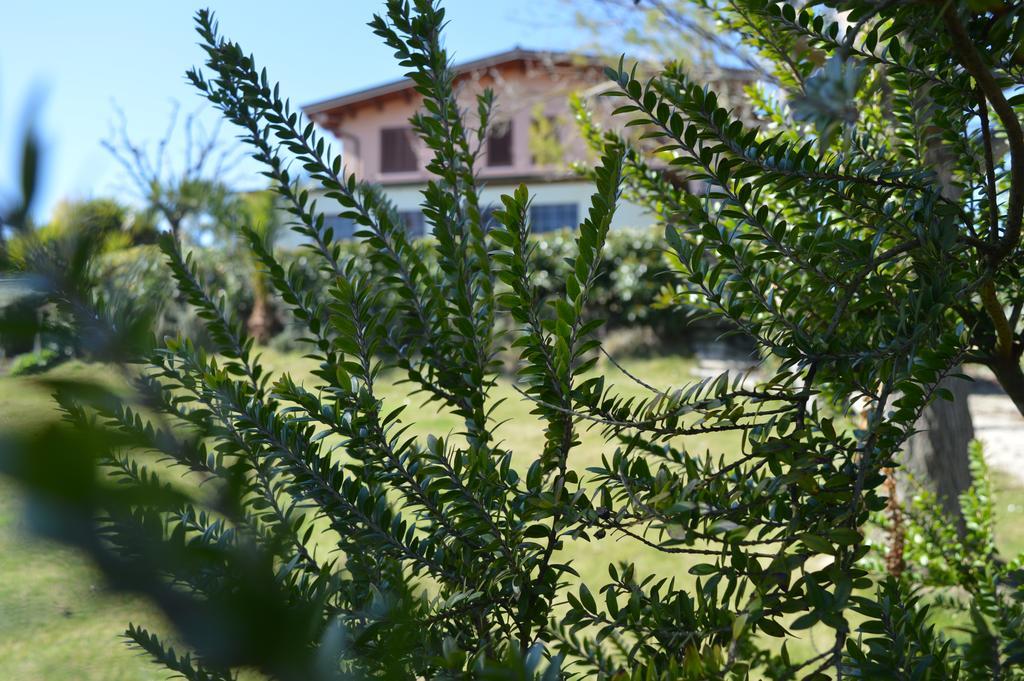 Country House Il Papavero Rosso Vendégház Francavilla al Mare Kültér fotó