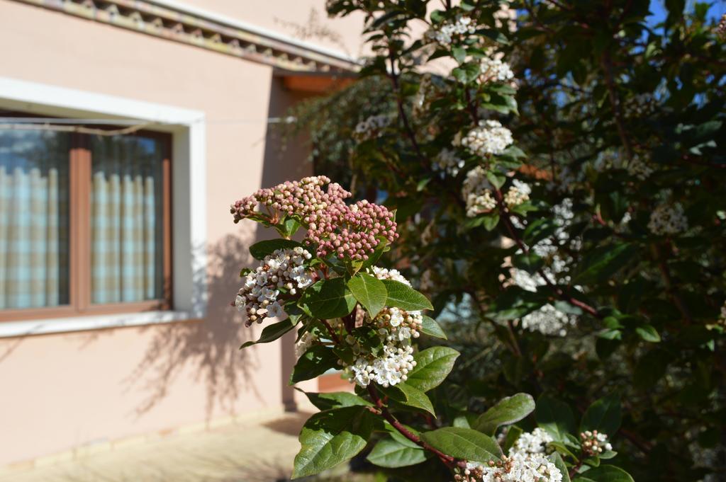 Country House Il Papavero Rosso Vendégház Francavilla al Mare Kültér fotó